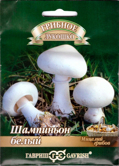 Мицелий гриба Шампиньон белый на зерновом субстрате, 15мл, Гавриш