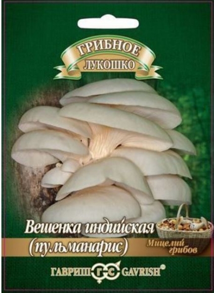 Мицелий гриба Вешенка индийская (пульмонарис) на древесной палочке, 12шт, Гавриш