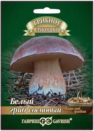 Мицелий гриба Белый гриб Сосновый на зерновом субстрате, 15мл, Гавриш
