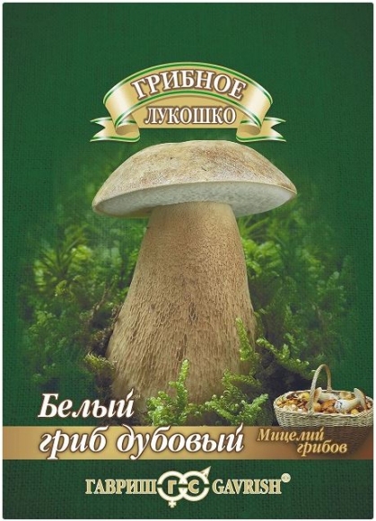 Мицелий гриба Белый гриб Дубовый на зерновом субстрате, 15мл, Гавриш