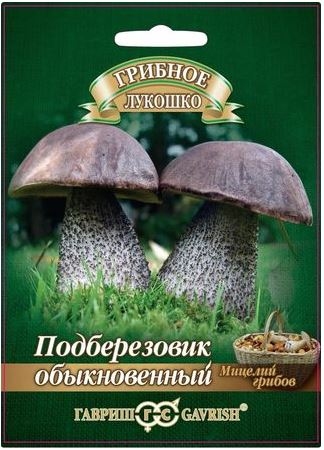 Мицелий гриба Подберезовик на зерновом субстрате, 15мл, Гавриш