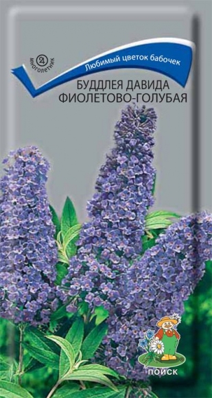 Буддлея Давида фиолетово-голубая, 0.01г, Поиск