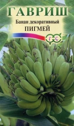 Банан Декоративный Пигмей, 3шт, Гавриш