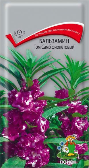 Бальзамин Том Самб фиолетовый, 0.1г, Поиск